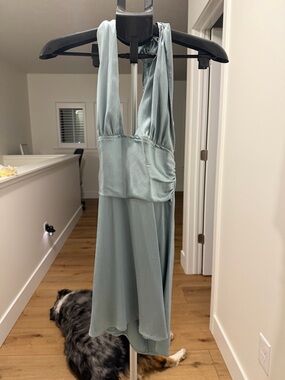 Cider Backless Halter Mini Dress in Sage Green